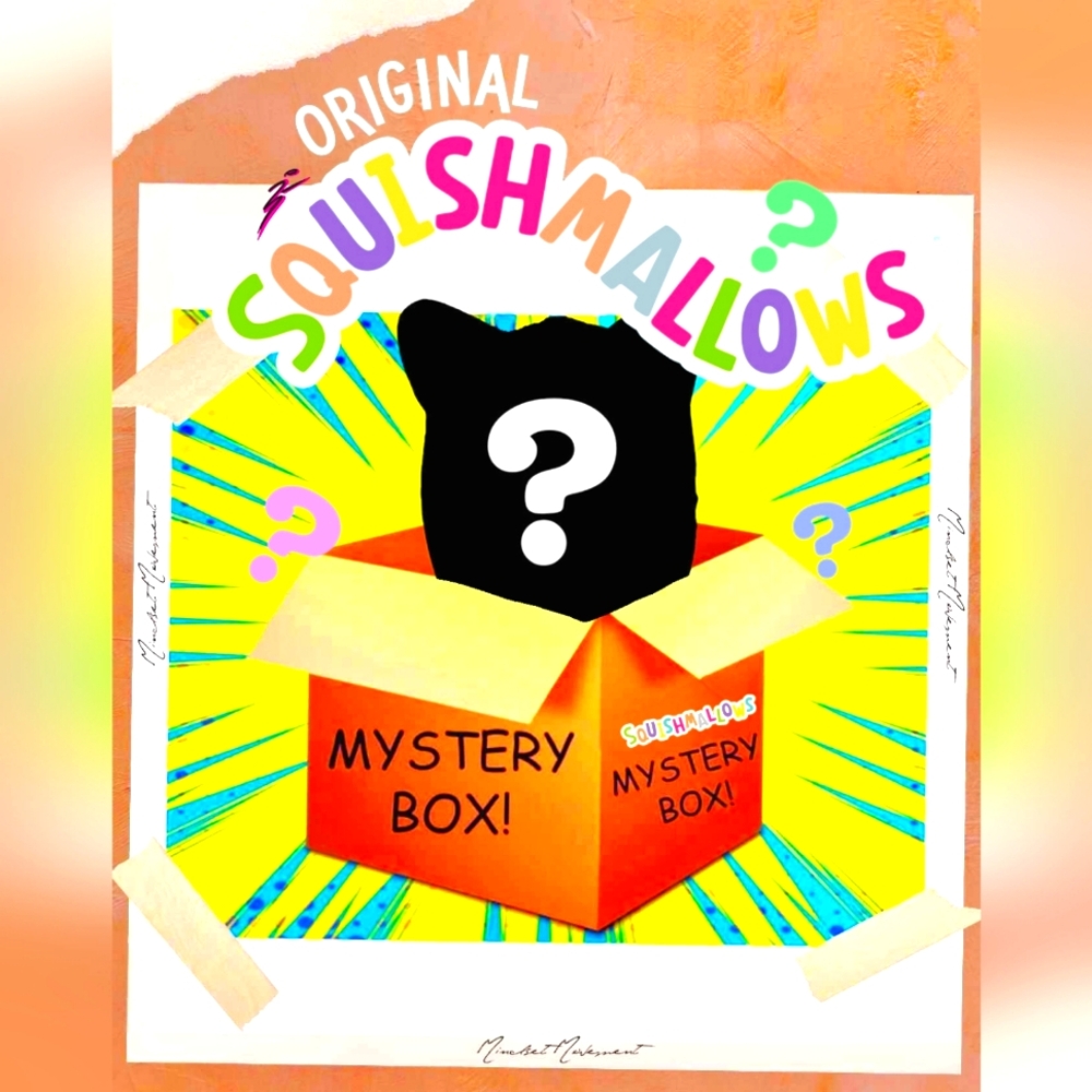 Squishmallow Mystery Box